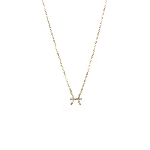Silk & Steel Pisces Necklace